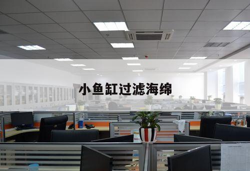 小魚缸過濾海綿