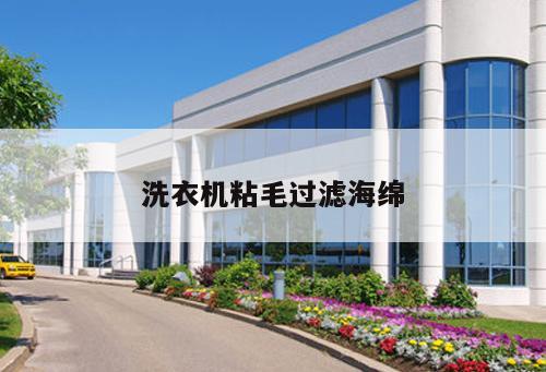 洗衣機粘毛過濾海綿