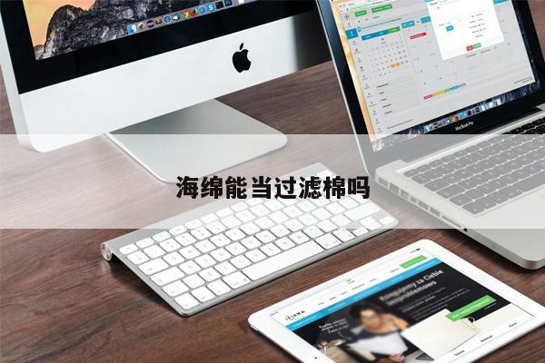 海綿能當(dāng)過(guò)濾棉嗎